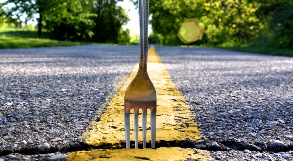 Decision Training Begins With The Fork In The Road